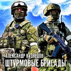 Cover of Штурмовые бригады
