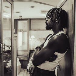 Cover of Stay