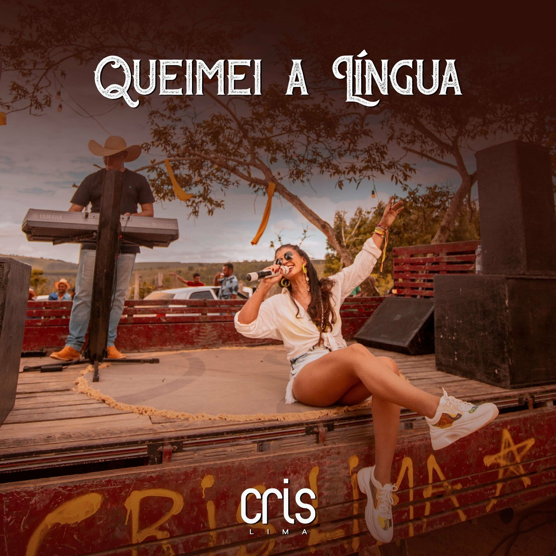 Album cover of Queimei a Língua