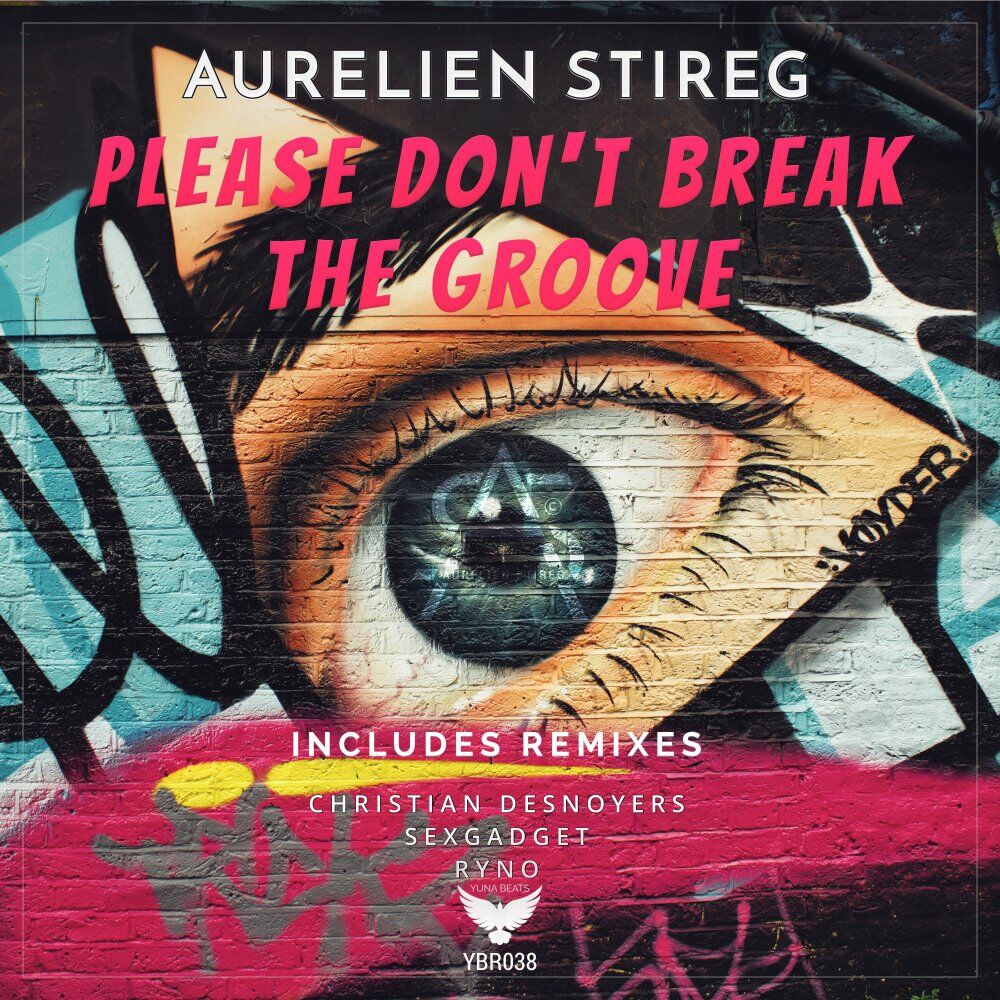Picture of Please Don't Break The Groove