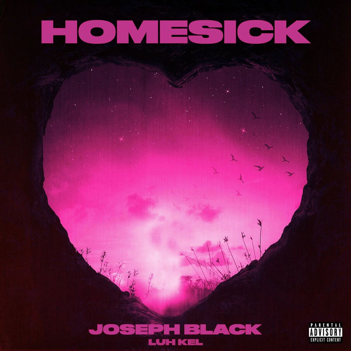 Album cover of Homesick
