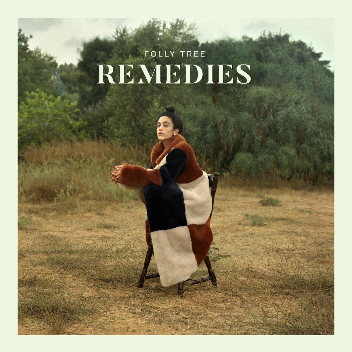 Album cover of Remedies