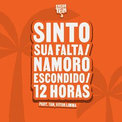 Cover of Sinto Sua Falta / Namoro Escondido / 12 Horas (Ao Vivo)