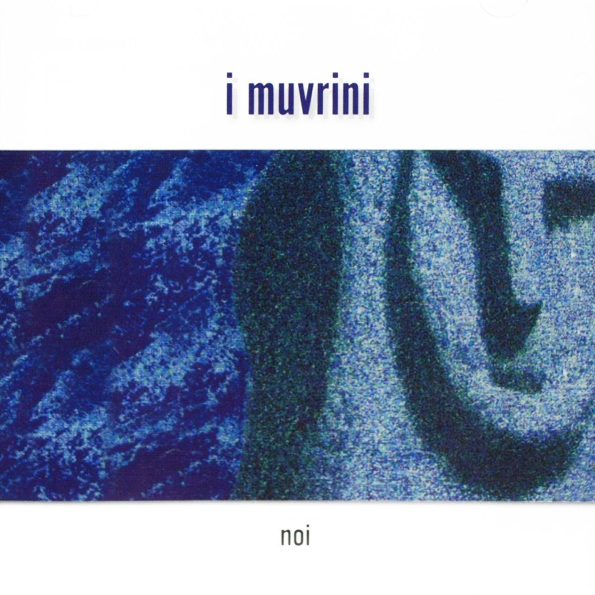 Album cover of Noi