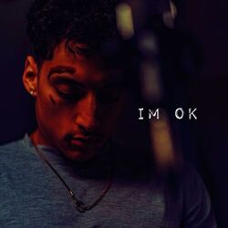 Cover of IM OK