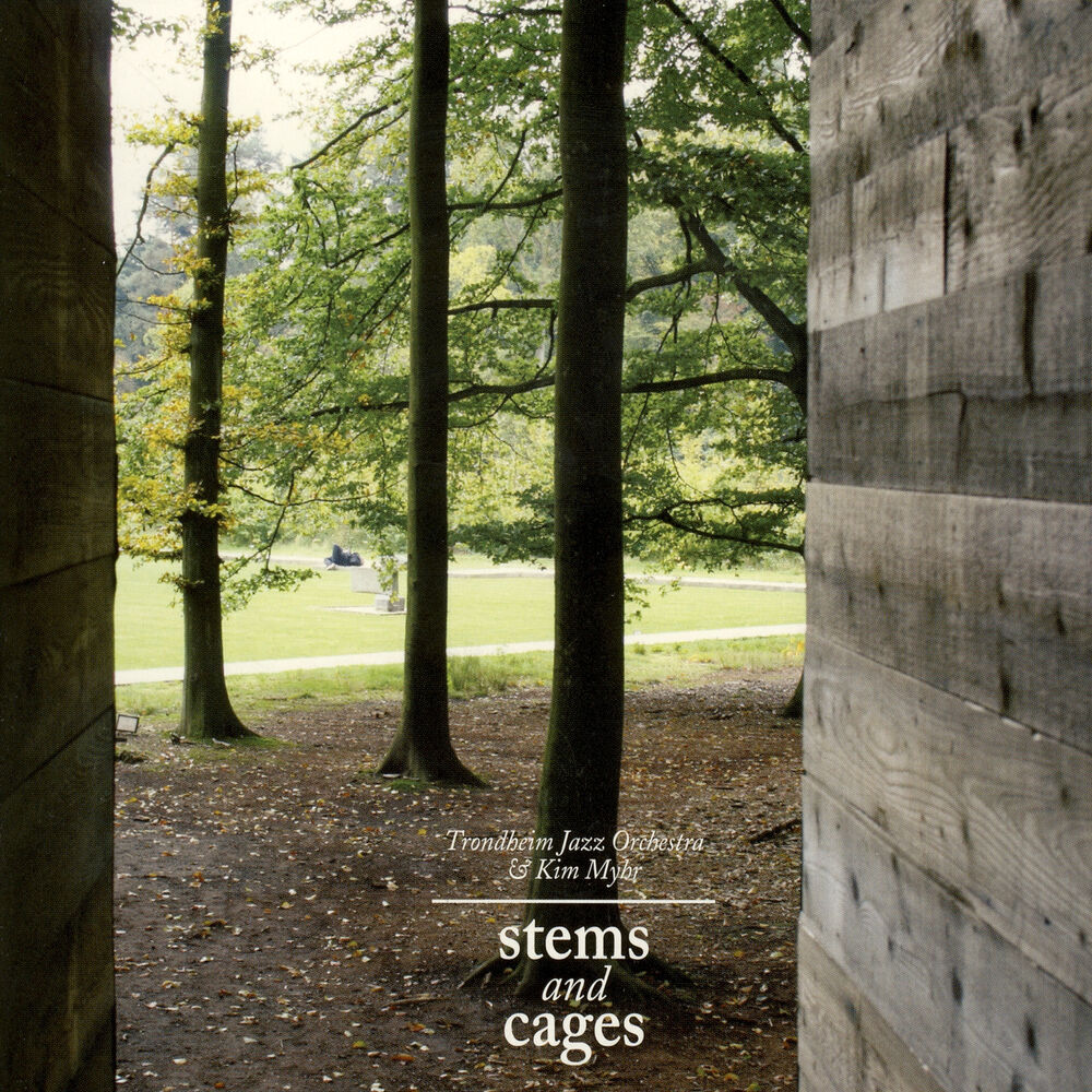 Picture of Stems and Cages