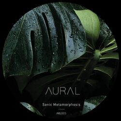 Cover of Sonic Metamorphosis
