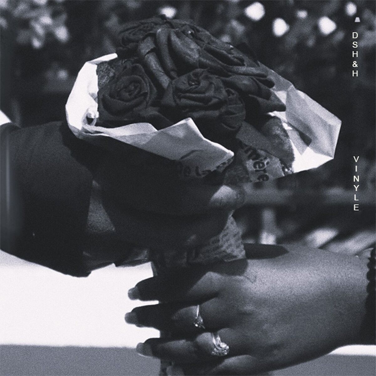Album cover of Vinyle