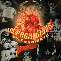 Cover of Los Prohibidos en Concierto