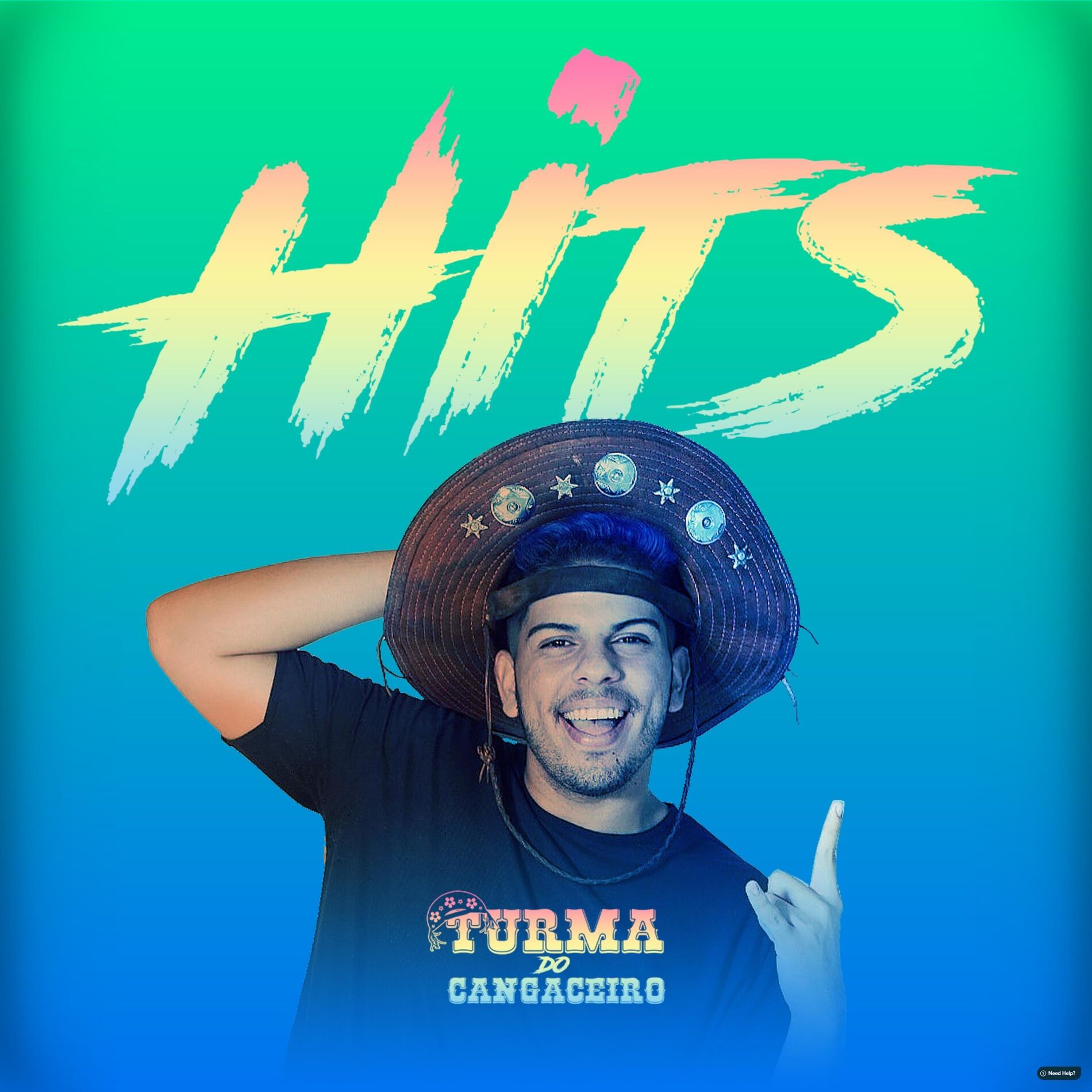 Album cover of Hits
