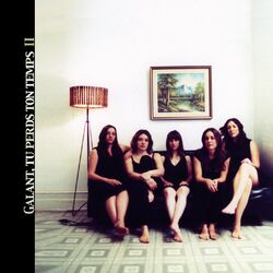 Cover of Galant, tu perds ton temps II
