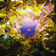 Never B Mine (Sota Remix) by Wilkinson album cover