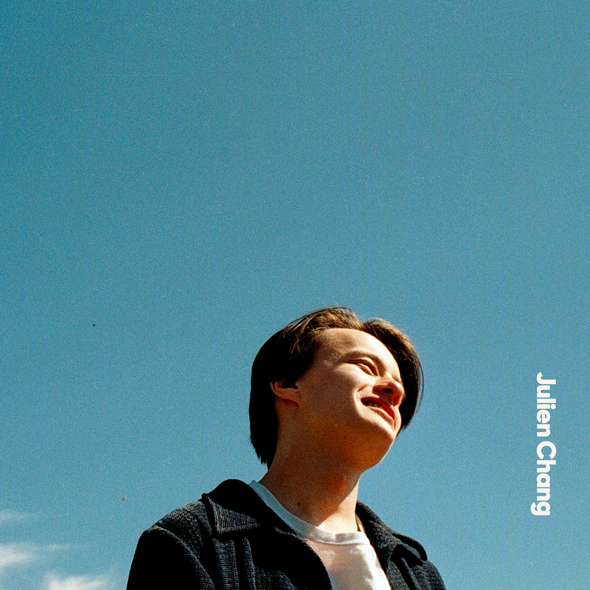 Album cover of Jules