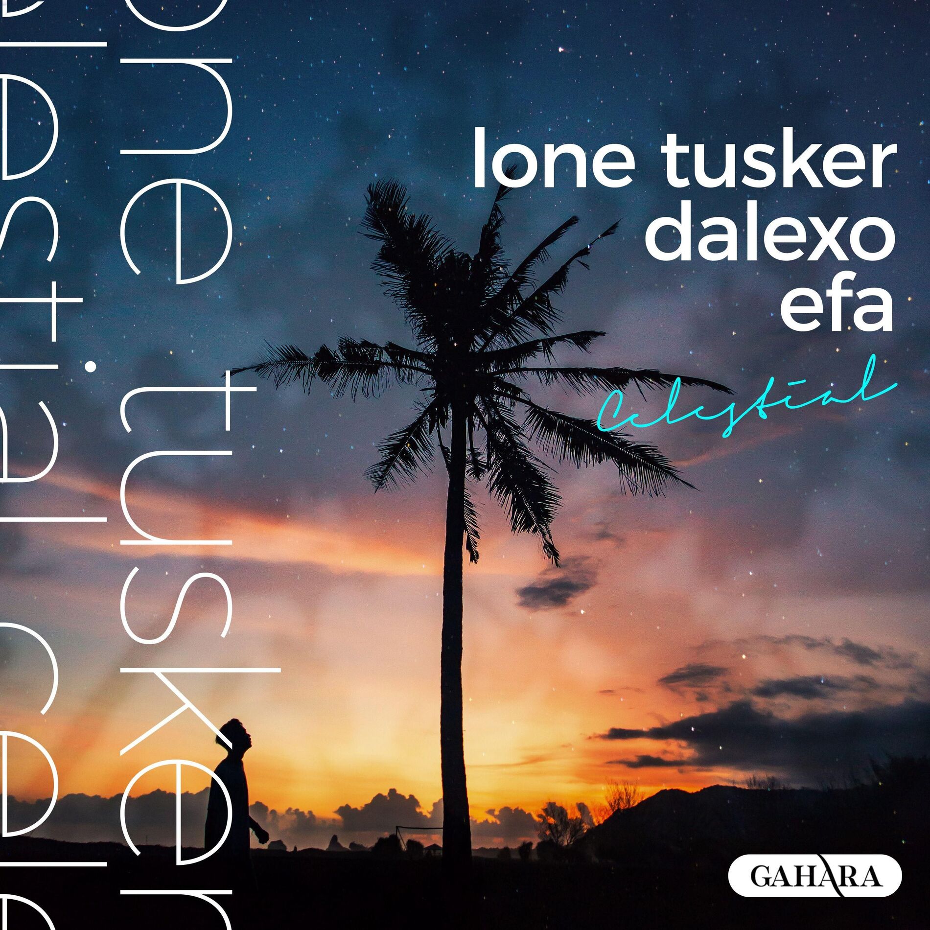 Album cover of Celestial