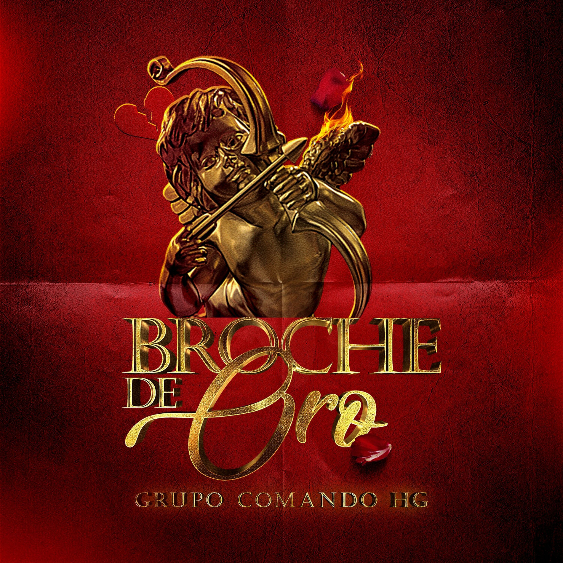 Album cover of Broche de Oro