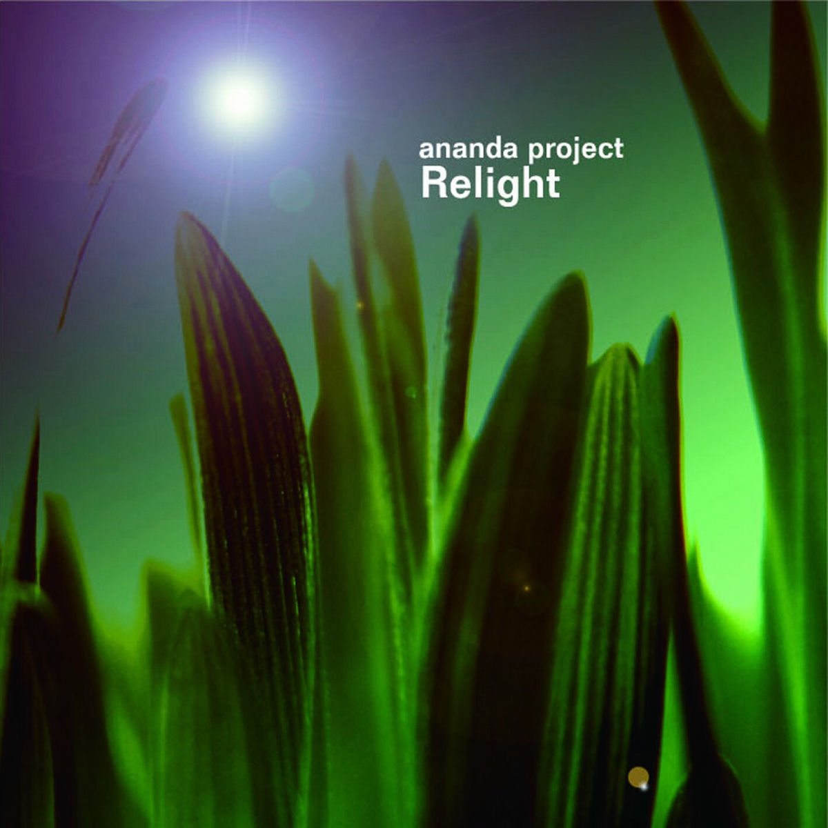 Album cover of Relight