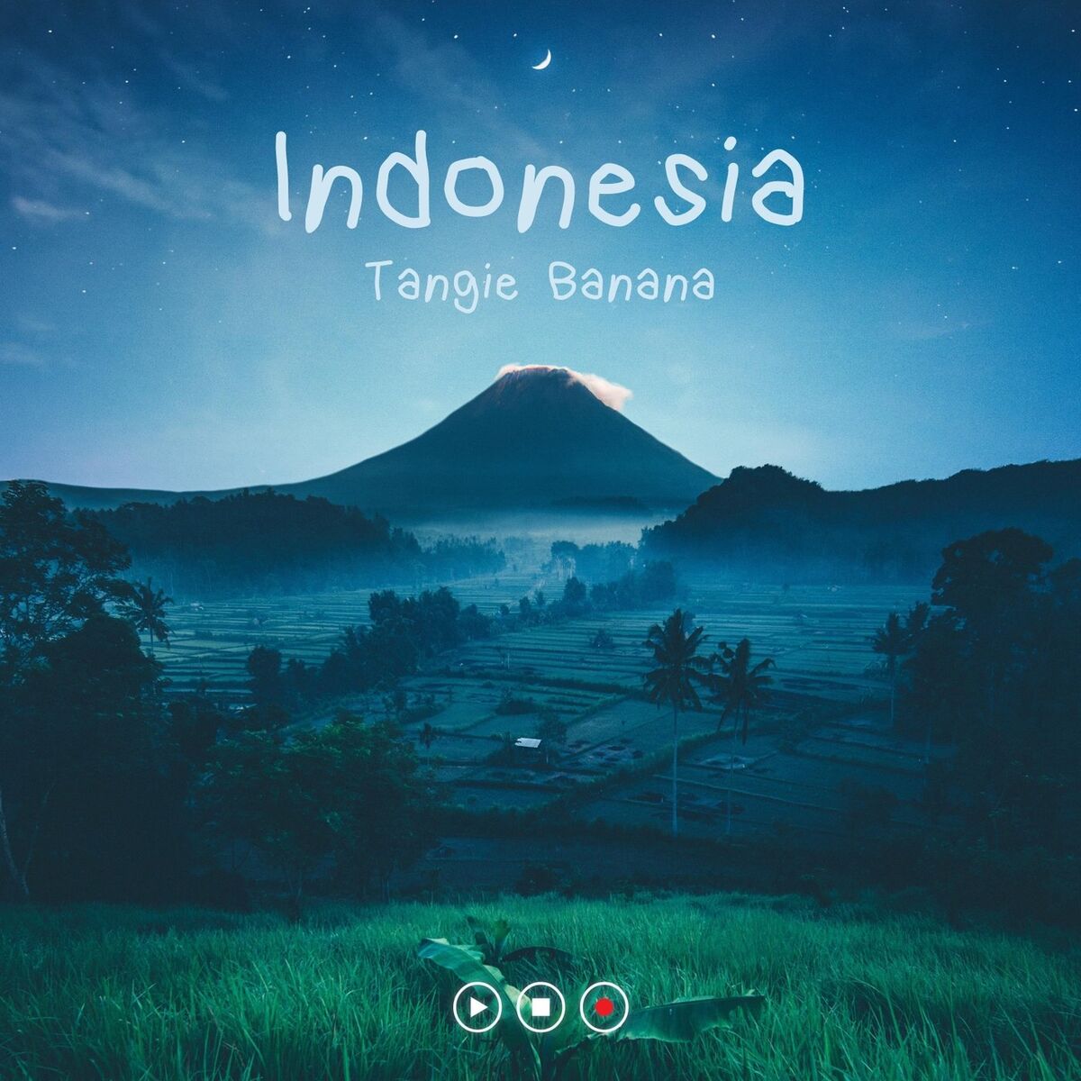 Album cover of Indonesia