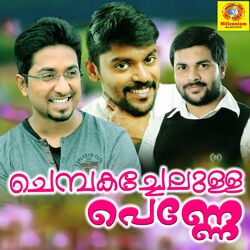 Cover of Chembagachelulla Penne