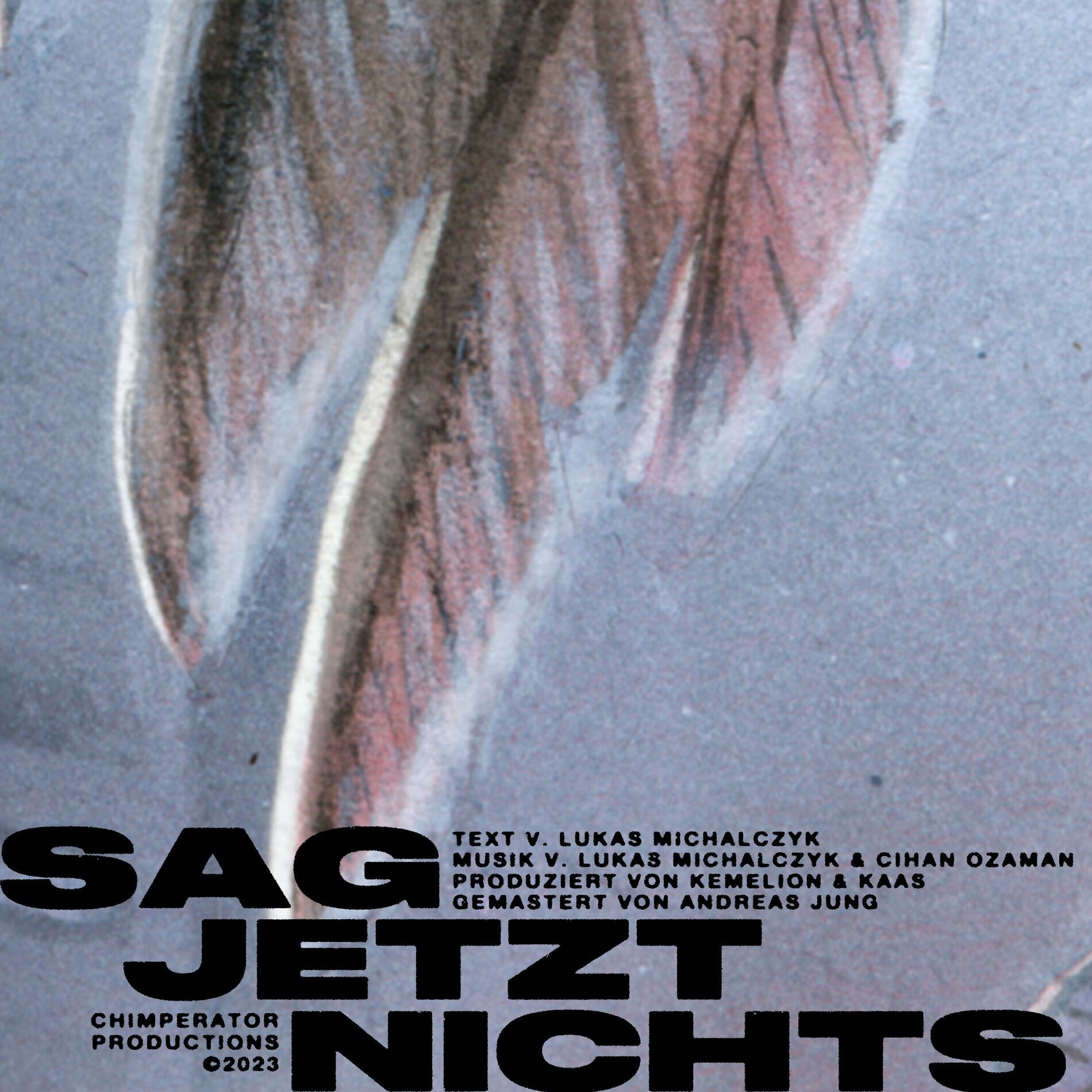 Album cover of SAG JETZT NICHTS (Single Version)