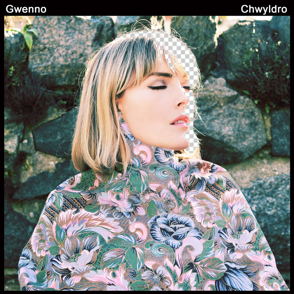 Picture of Chwyldro