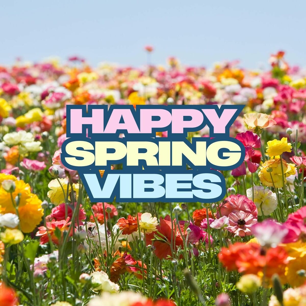 Album cover of Happy Spring Vibes