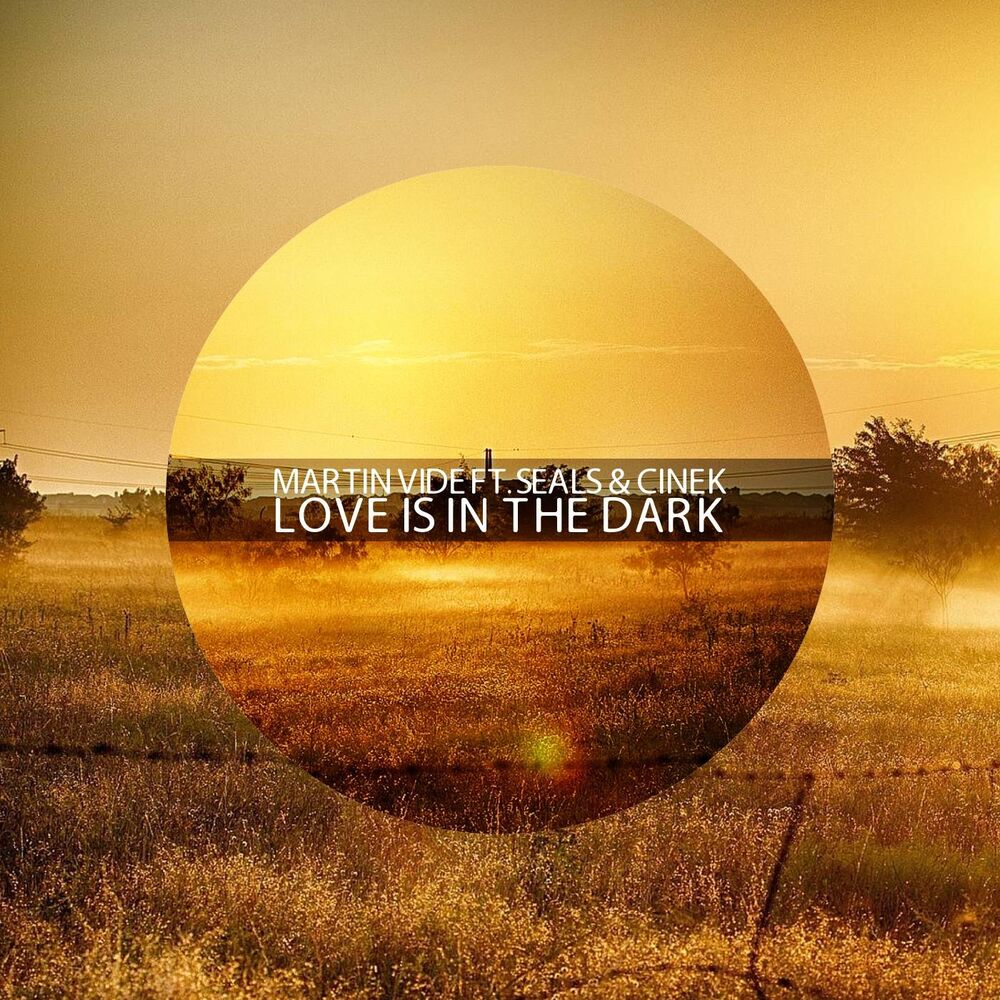 Picture of Love Is in the Dark