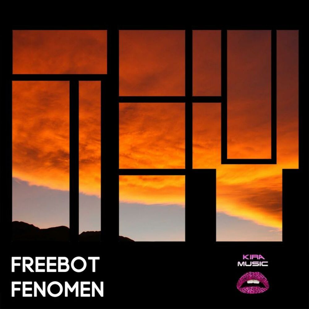 Picture of Fenomen