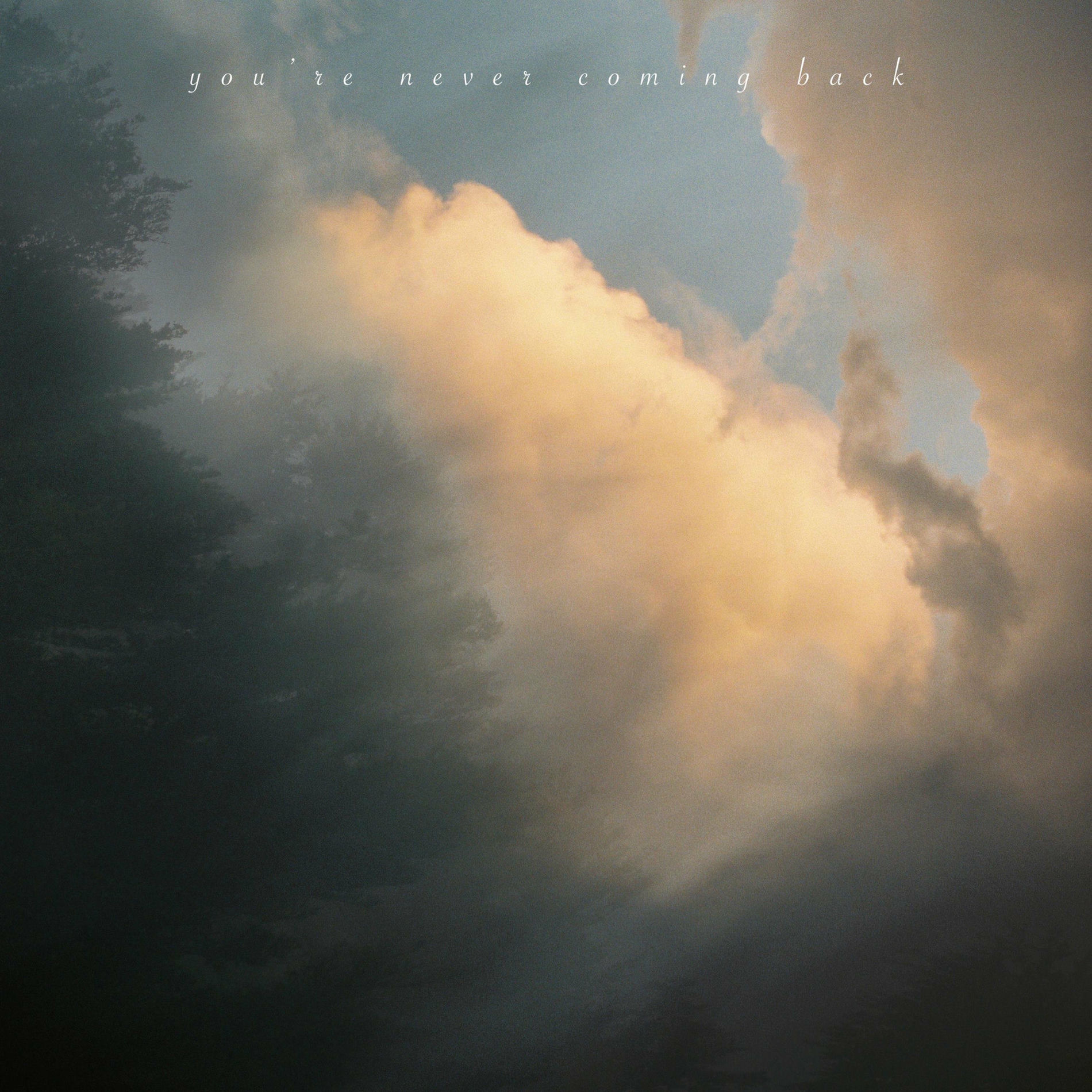 Album cover of you're never coming back