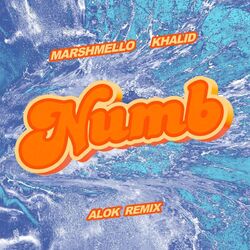 Cover of Numb (Alok Remix)