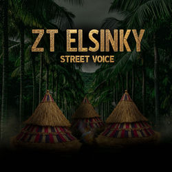STREET VOICE