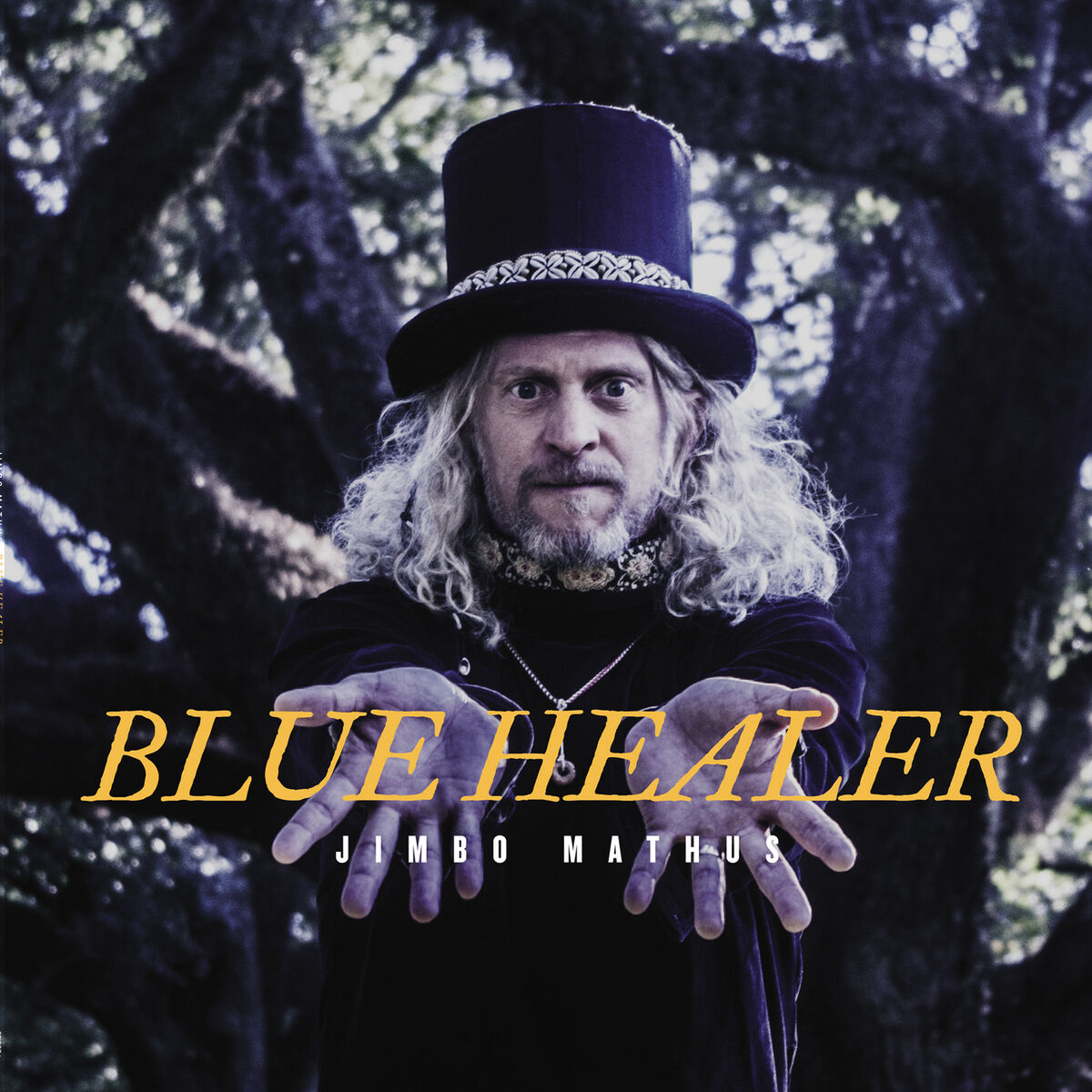 Album cover of Blue Healer