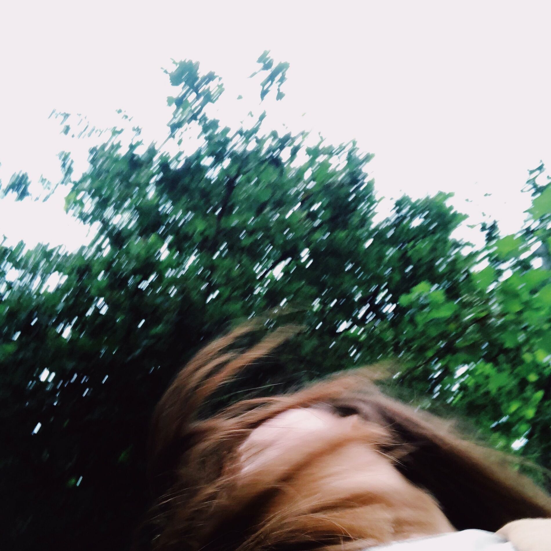 Album cover of Foraker