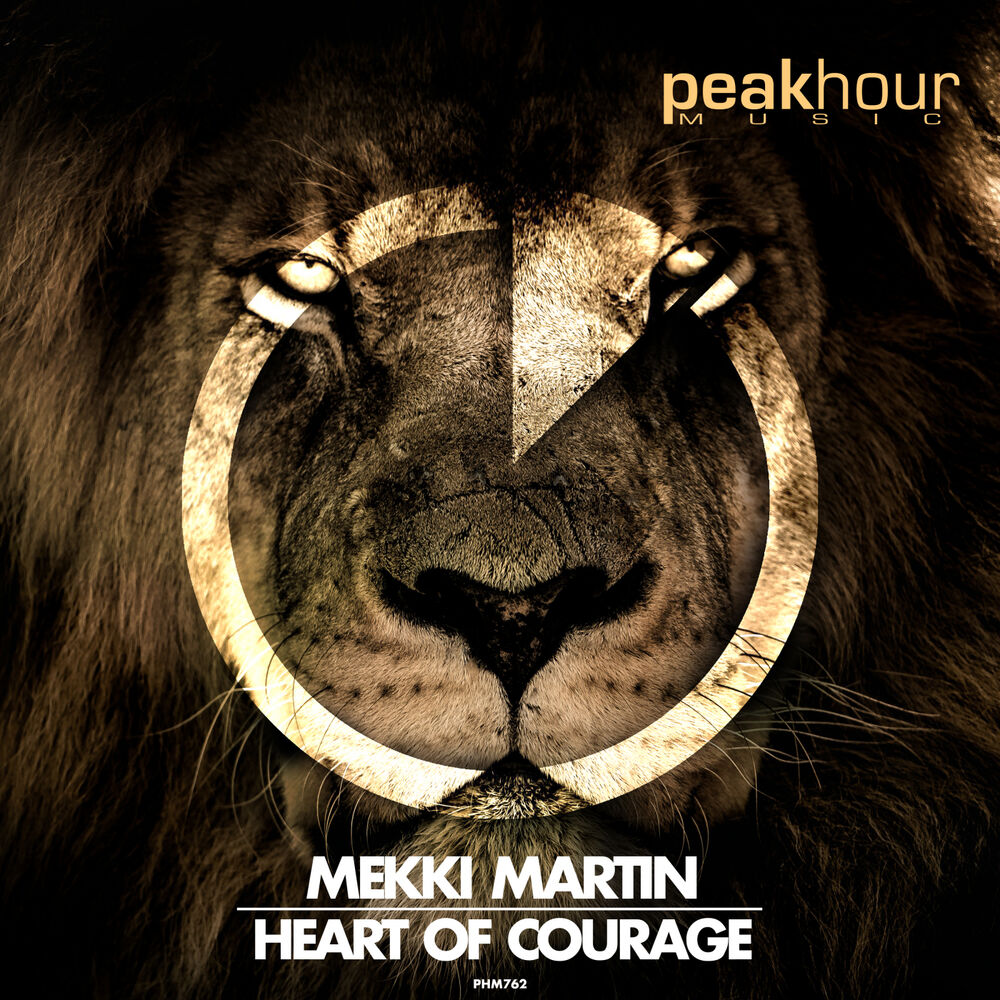 Picture of Heart Of Courage