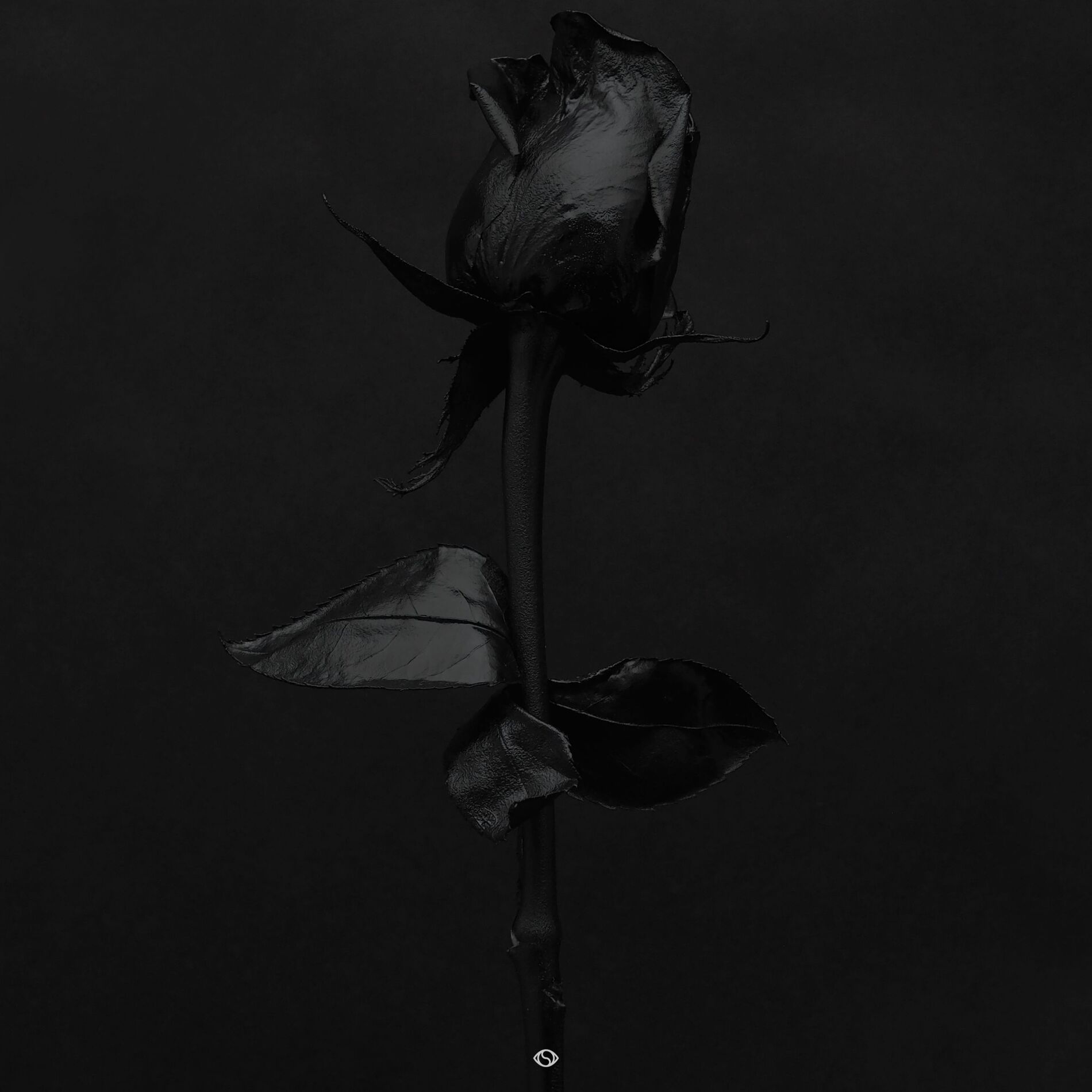 Album cover of Promise Once More