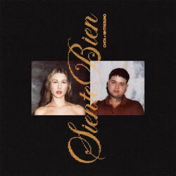 music cover