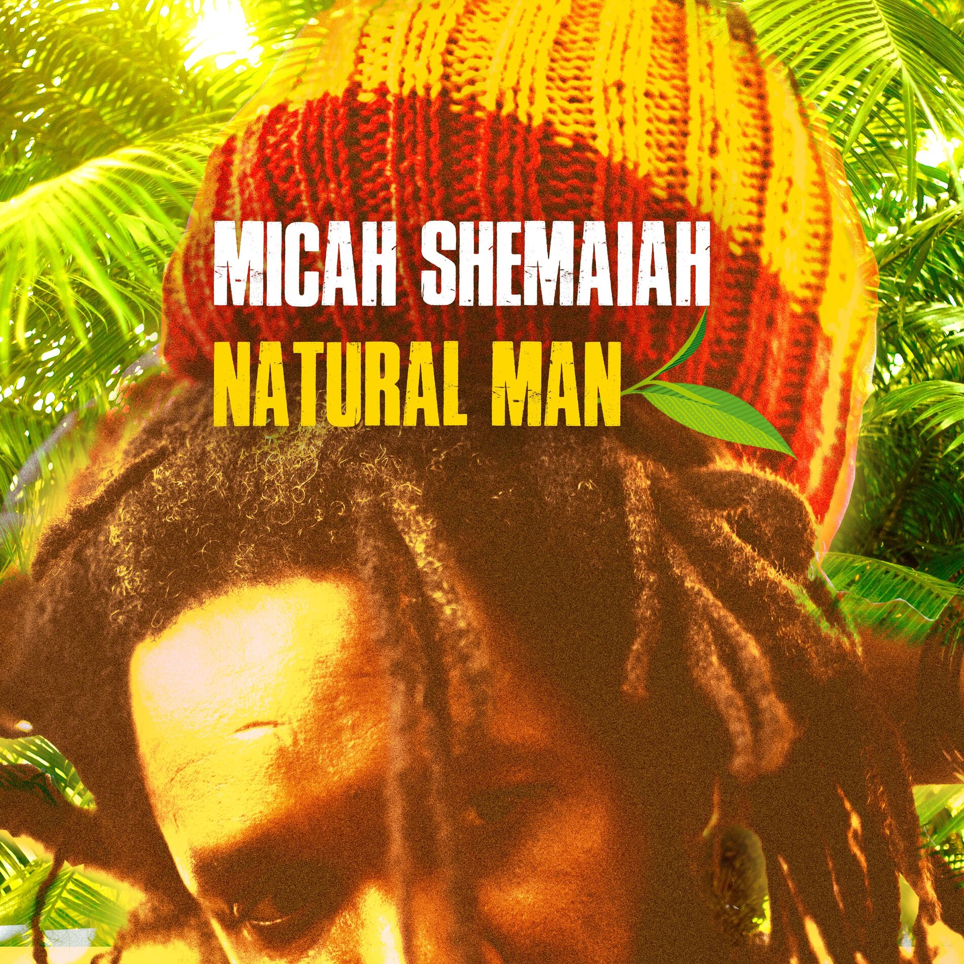 Album cover of Natural Man