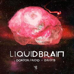 Cover of Liquid Brain