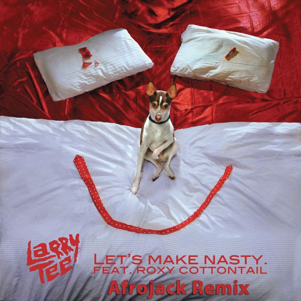Picture of Let's Make Nasty (feat. Roxy Cottontail) (Afrojack Remix)