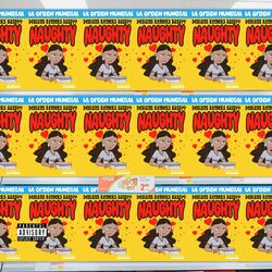 Cover of Naughty