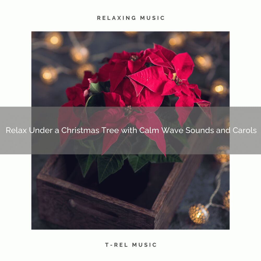 Picture of Relax Under a Christmas Tree with Calm Wave Sounds and Carols