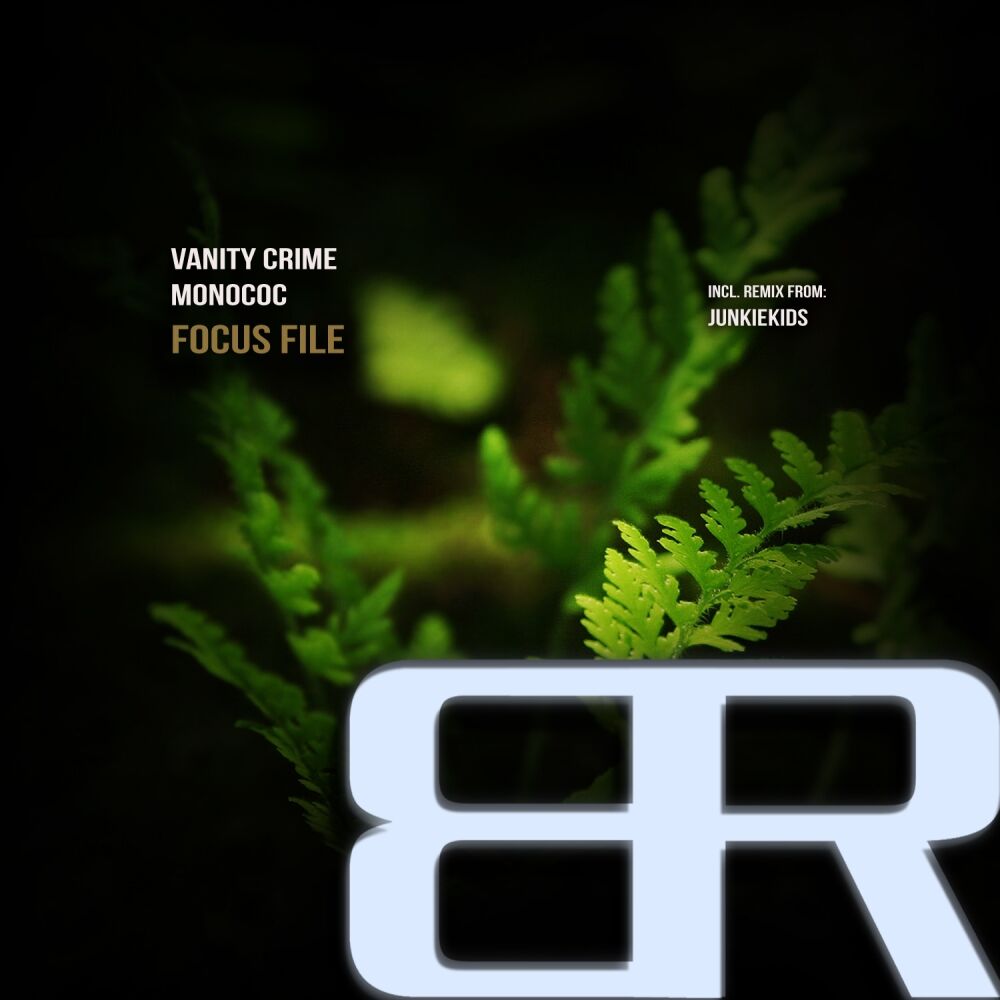 Picture of Focus File