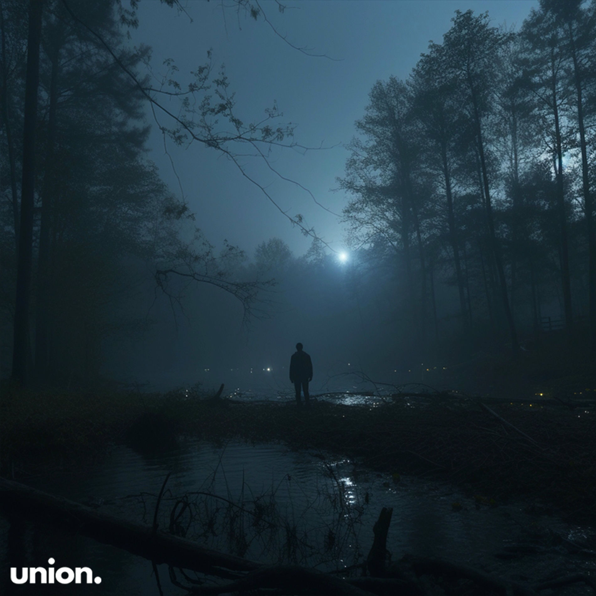 Album cover of in a dream.