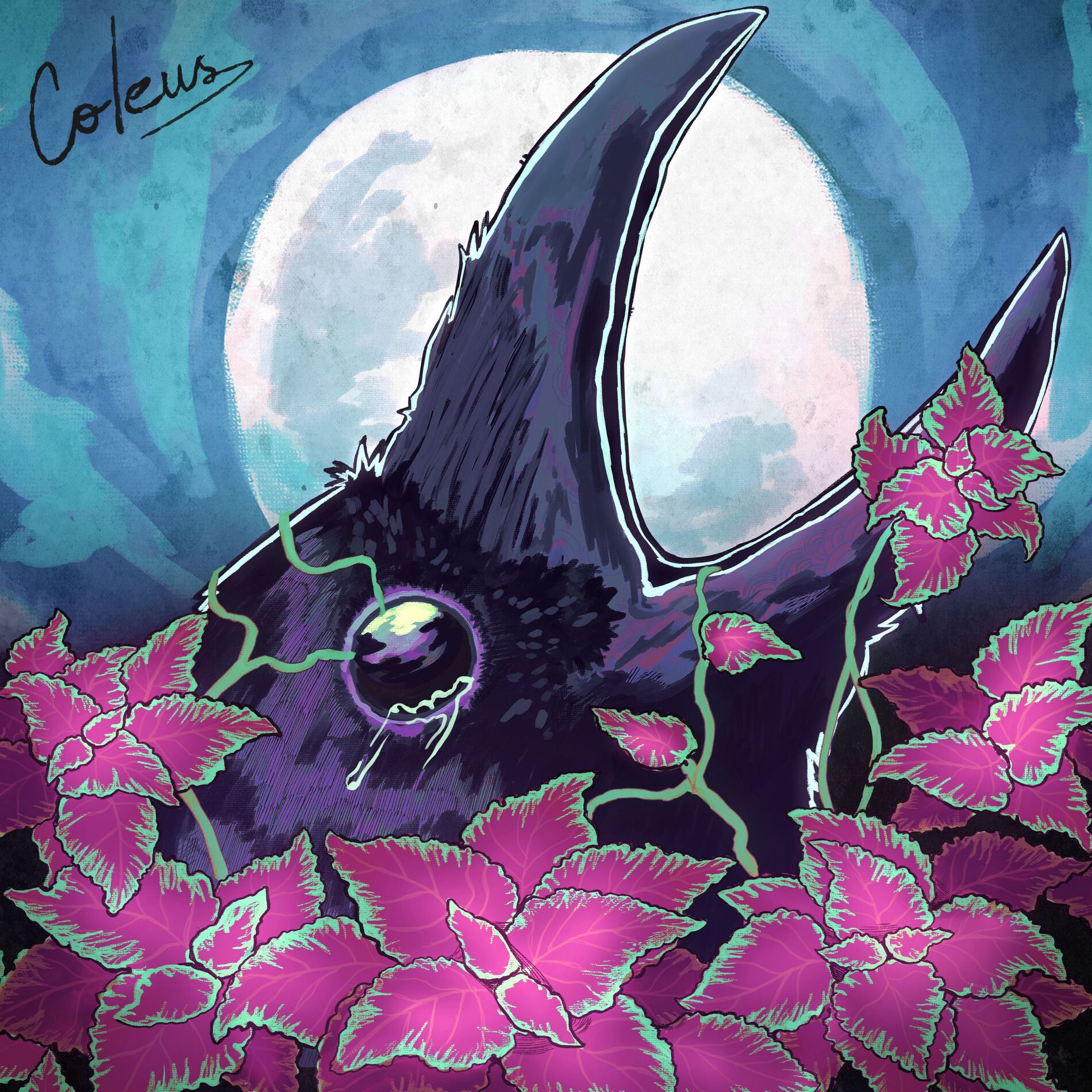 Album cover of COLEUS