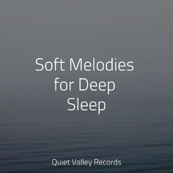 Cover of Soft Melodies for Deep Sleep