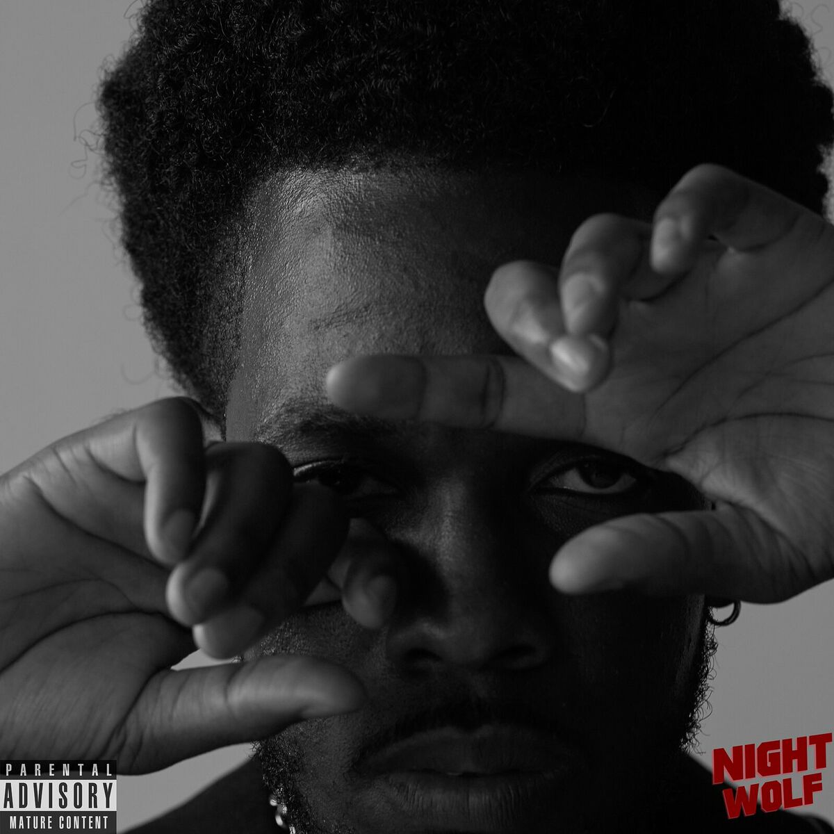 Album cover of Nightwolf