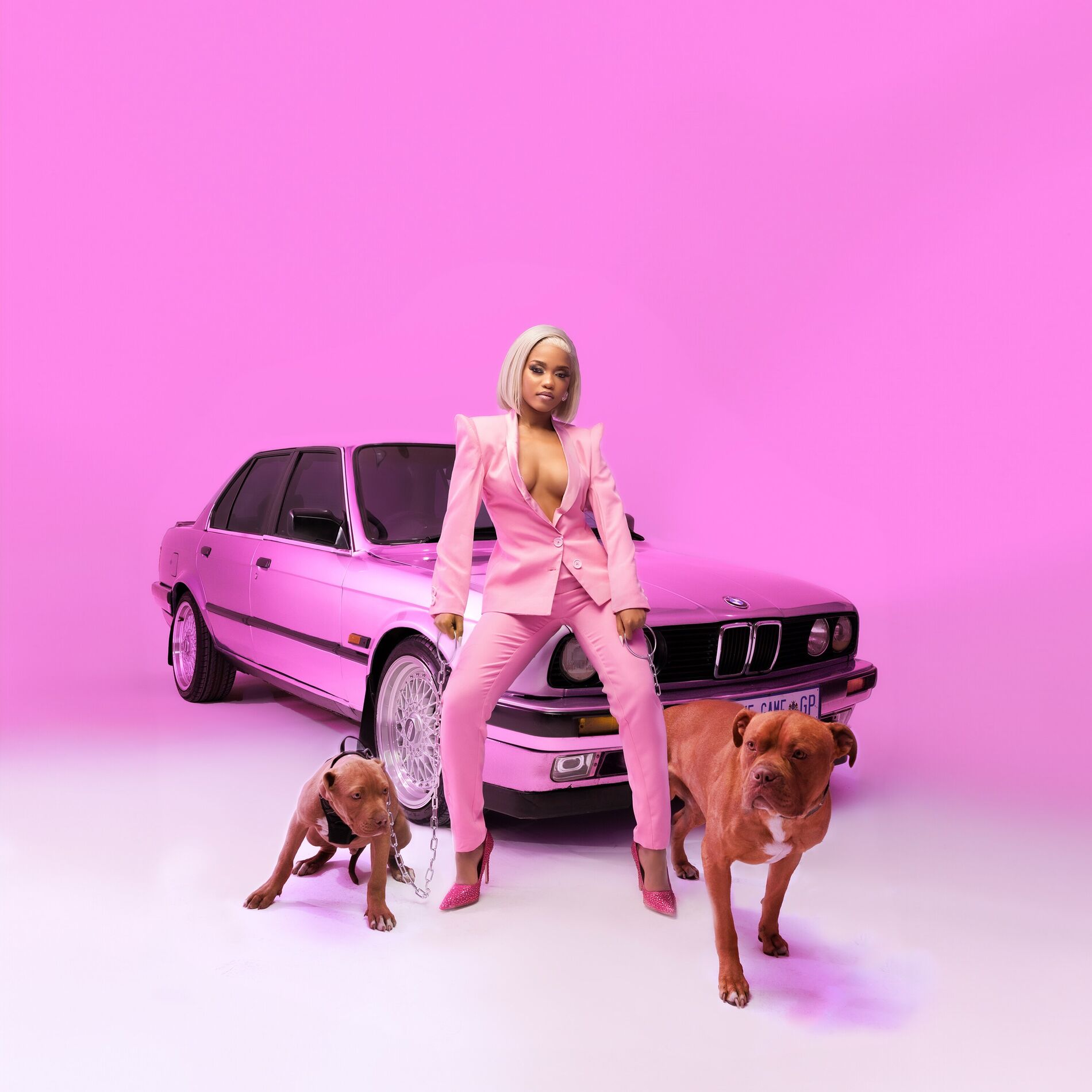 Album cover of Mehlo Madala