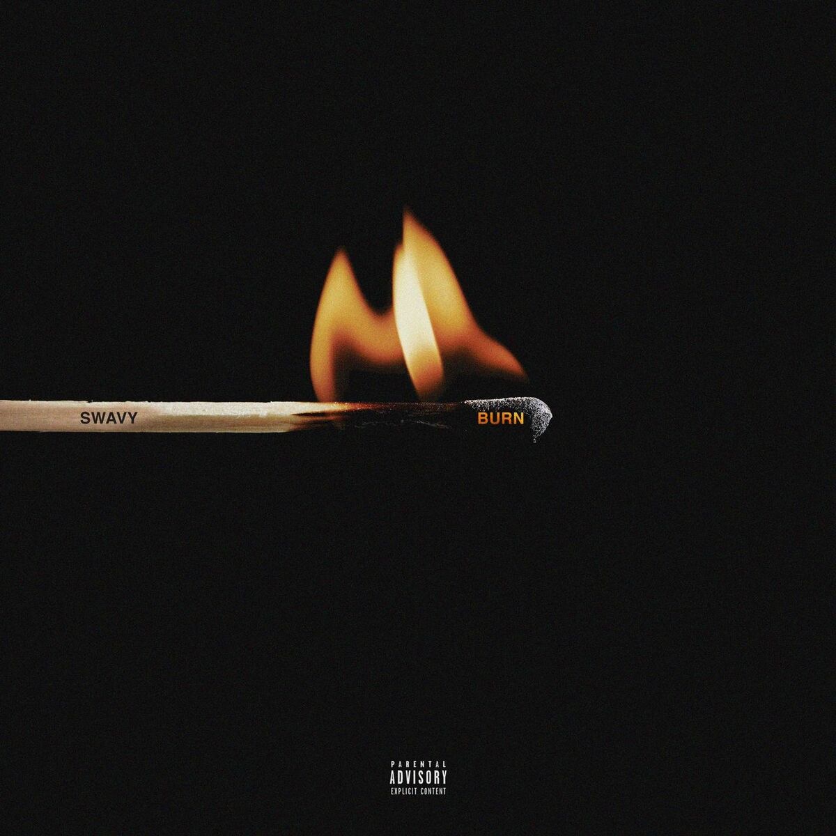 Album cover of Burn