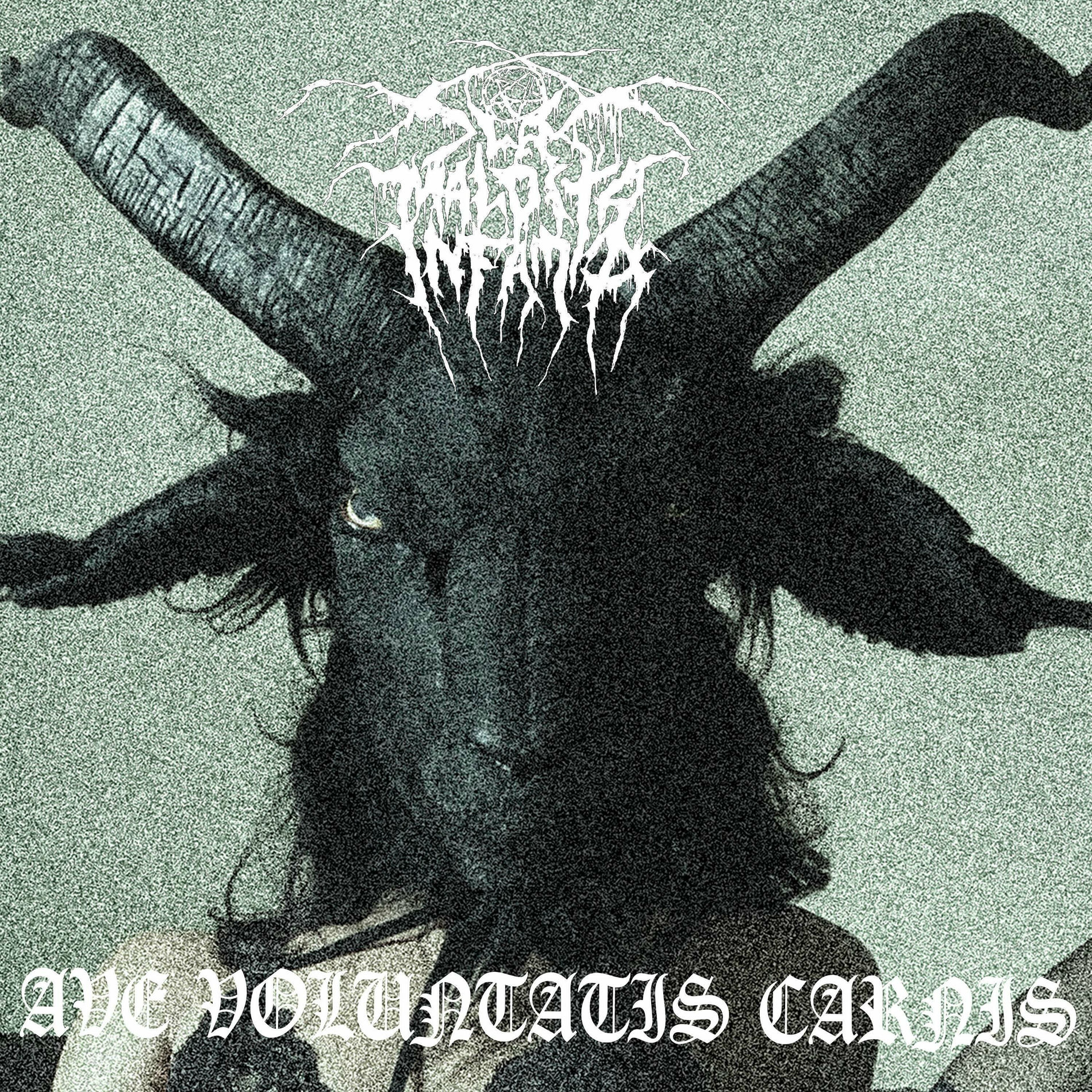 Album cover of Ave Voluptatis Carnis