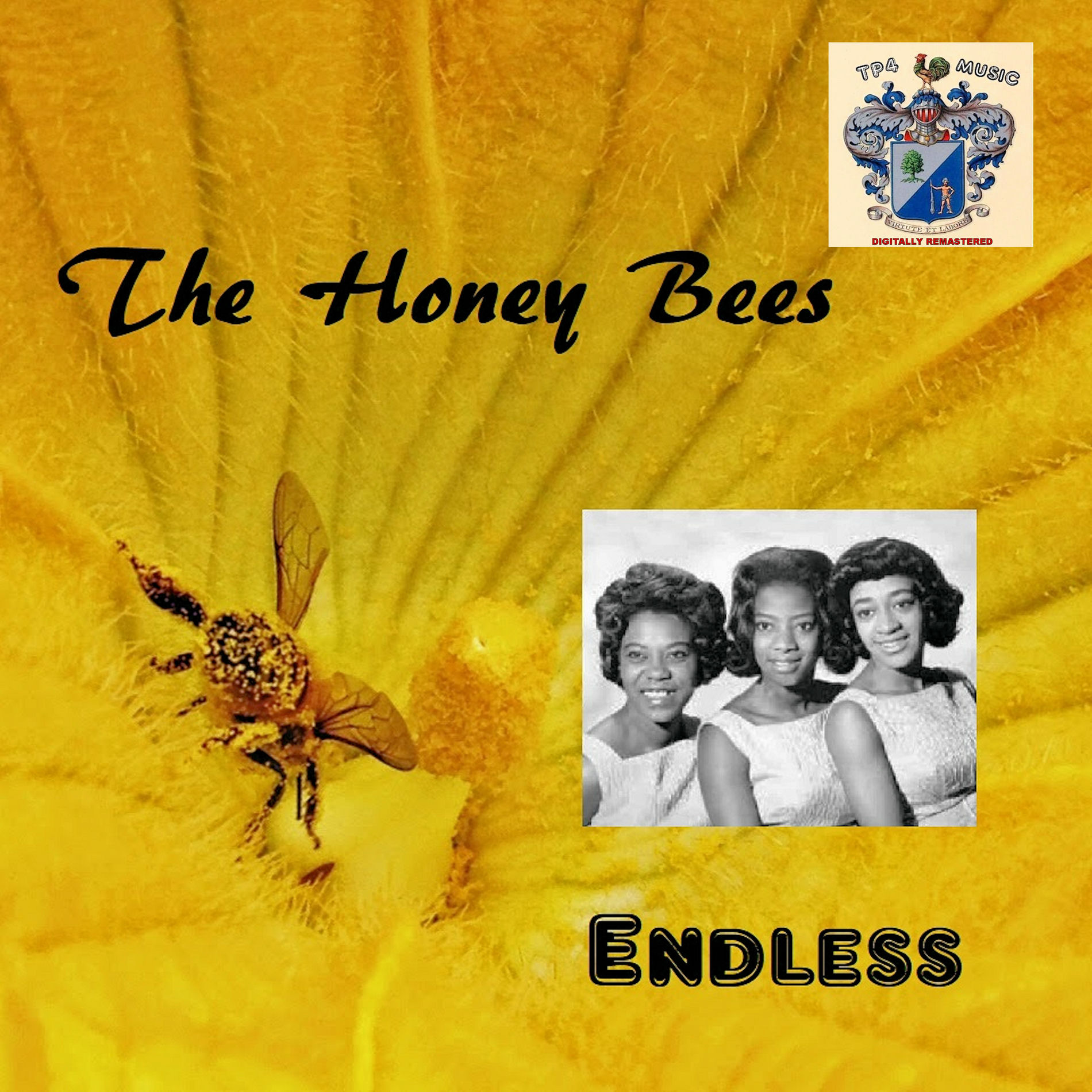 The Honey Bees - Endless | Deezer
