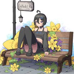 Cover of daffodil